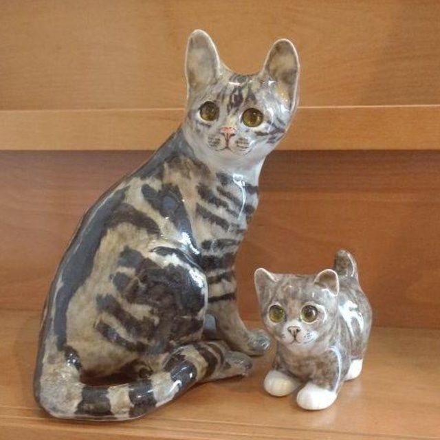 SOLD OUT】❇️小顔美人猫!ウィンスタンレイ(ケンジントン)キャット SOLD OUT】❇️小顔美人猫!ウィンスタンレイ(ケンジントン)キャット