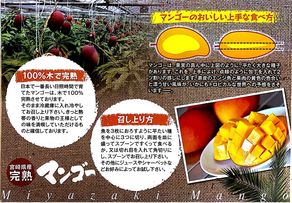宮崎県産 完熟マンゴー 自家用 2kg