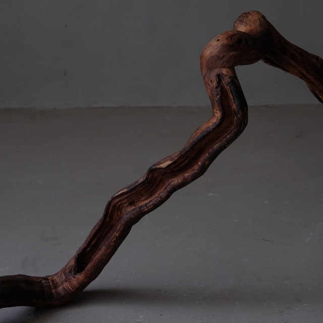 Branch