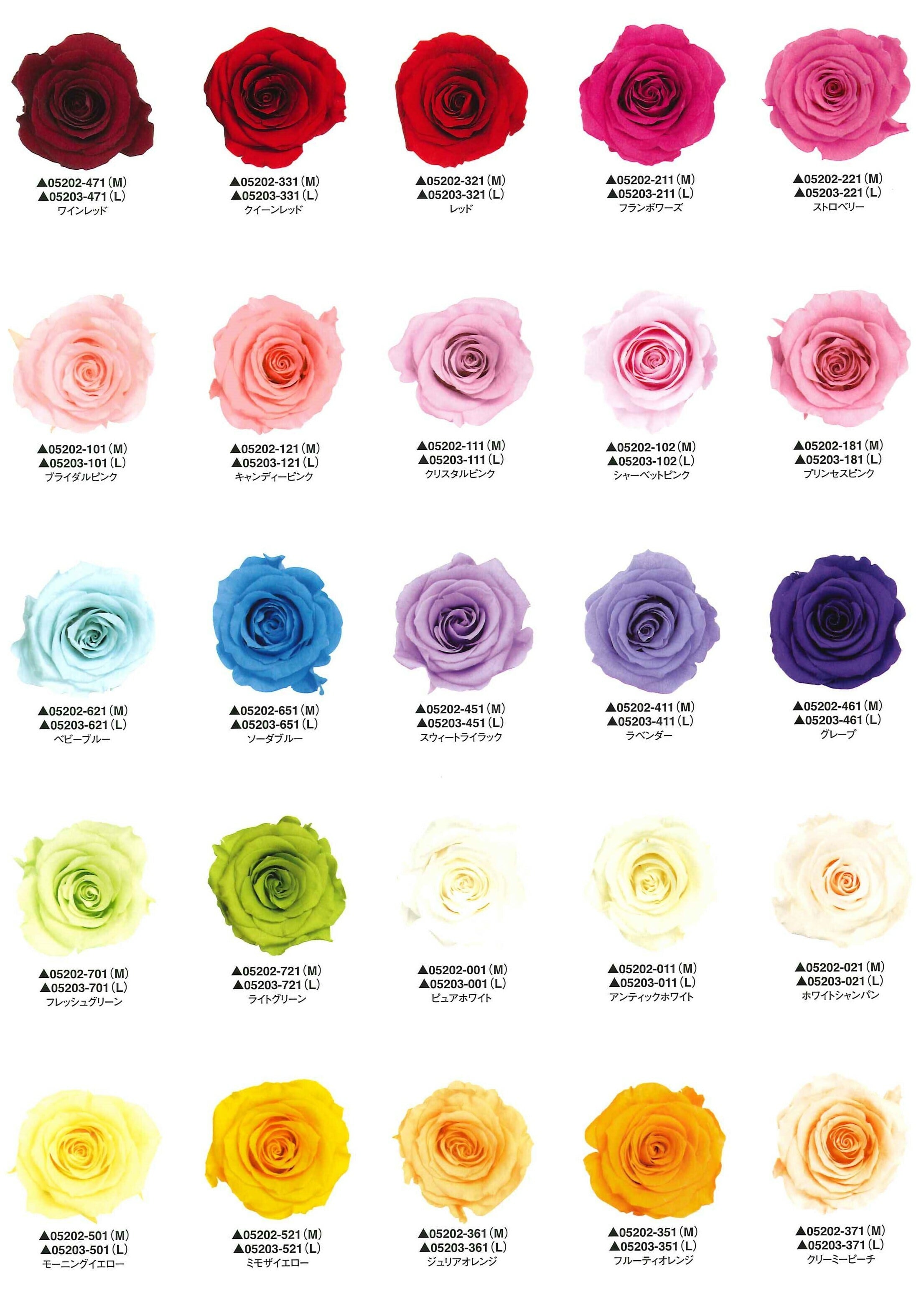 12本の赤い薔薇 フレーム入り＜ダズンローズ＞ | 福岡のプリザーブド