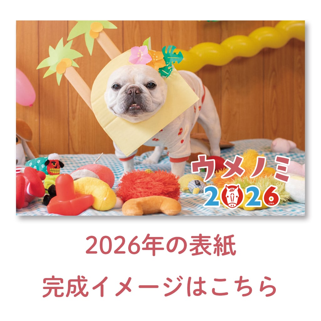 フレンチブルドッグこうめさんのお散歩バッグ | うめのみ商店