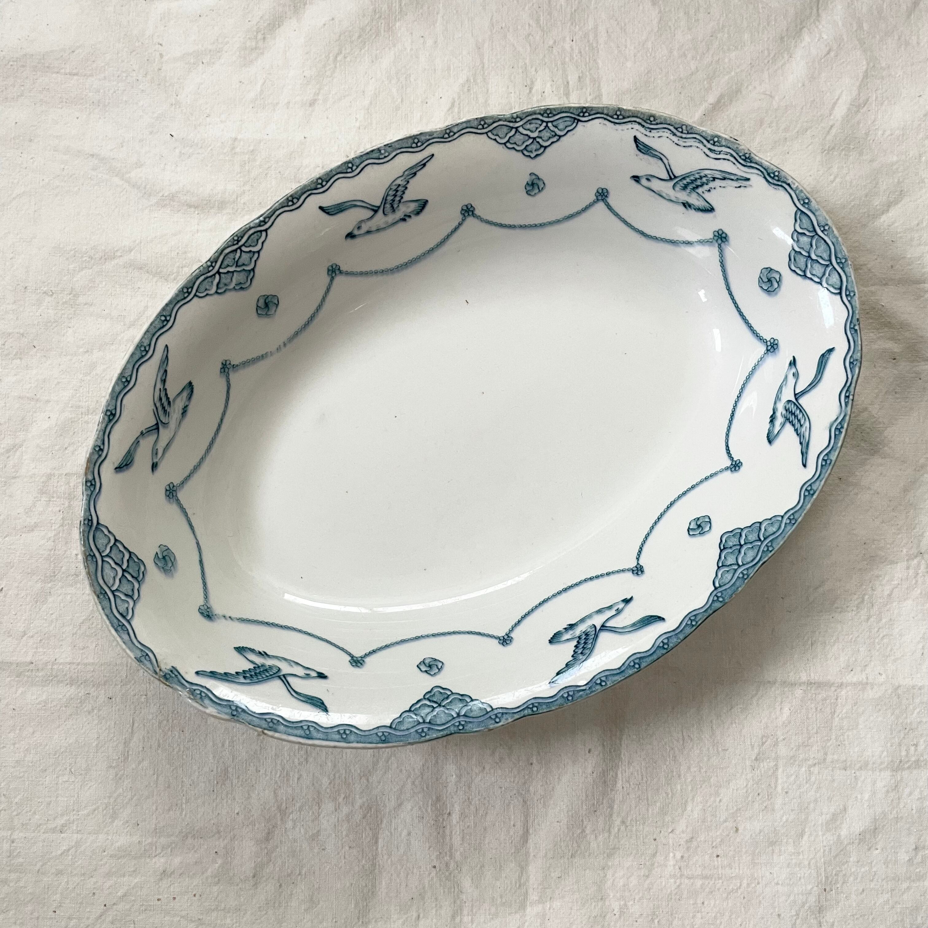 カモメのオーバル深皿