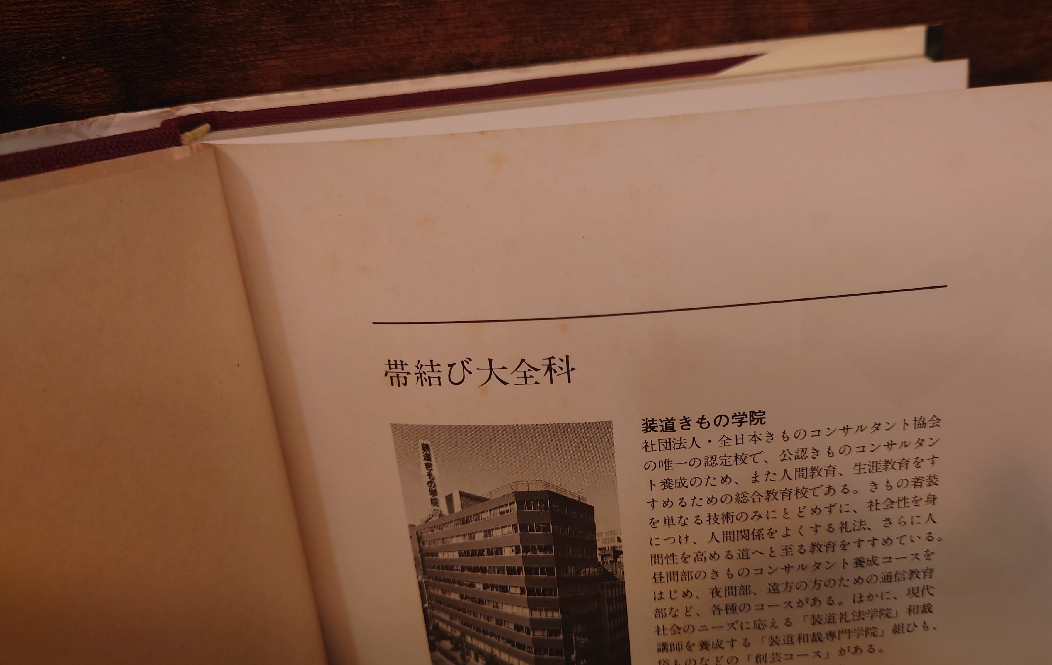 帯結び大全科 | 弥生坂 緑の本棚