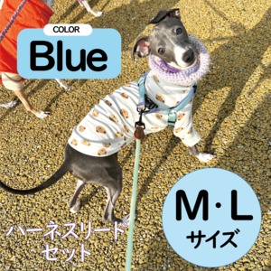 ハーネス　リードセット　BLUE　M、Lサイズ