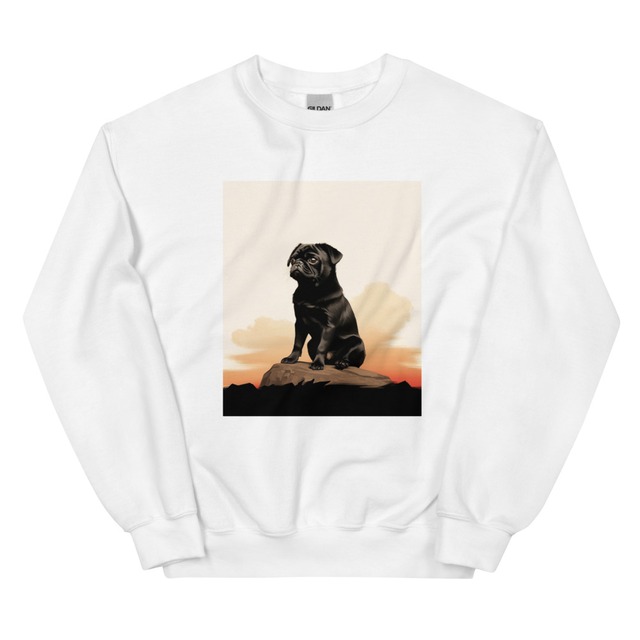 Pullover  -sunset-  　　hd5