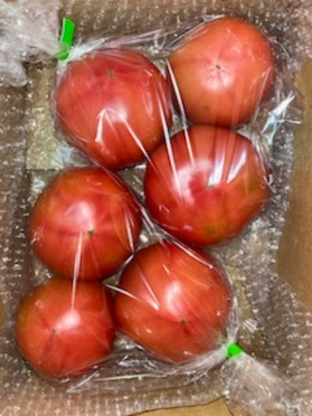 新鮮桃太郎春トマト　６個　袋入り　１.２㎏以上　１０００円
