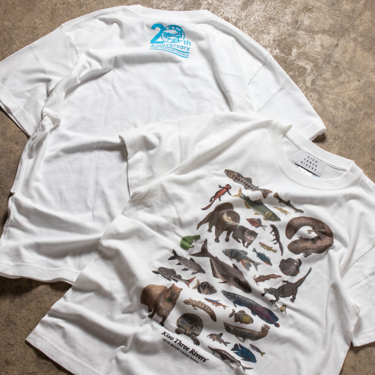 アクア・トトぎふ 20周年記念 半袖Tシャツ / KISO THREE RIVERS | PEPS