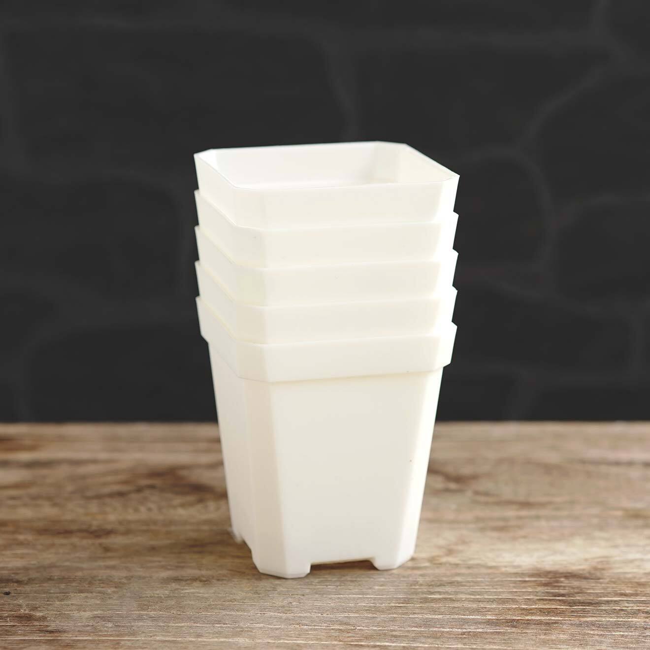 Solid Square Pot  7cm ホワイト 10個セット