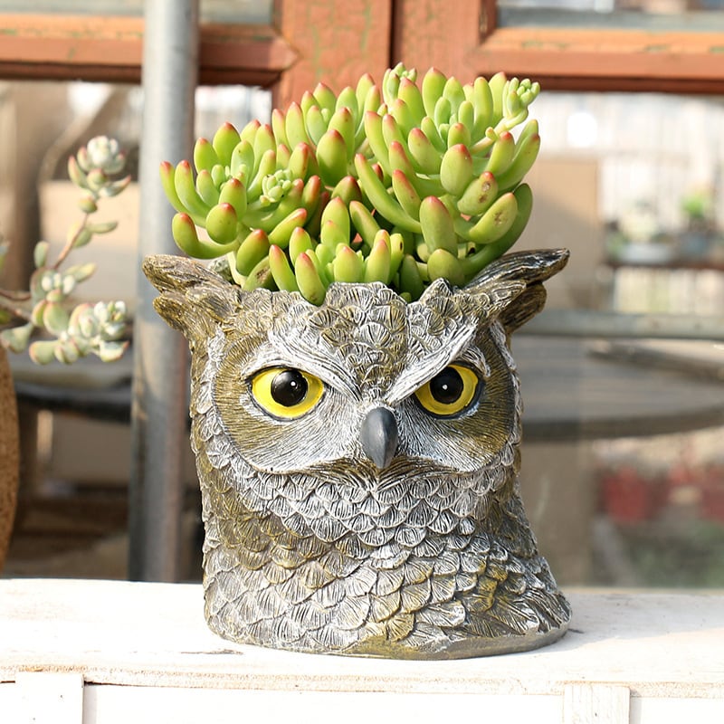 鉢 フクロウ 植木鉢 多肉植物 寄せ植え 装飾 フラワーポット ガーデン