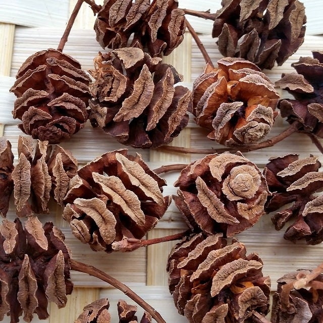 7d684e5c8a032be64aa09659e091c5