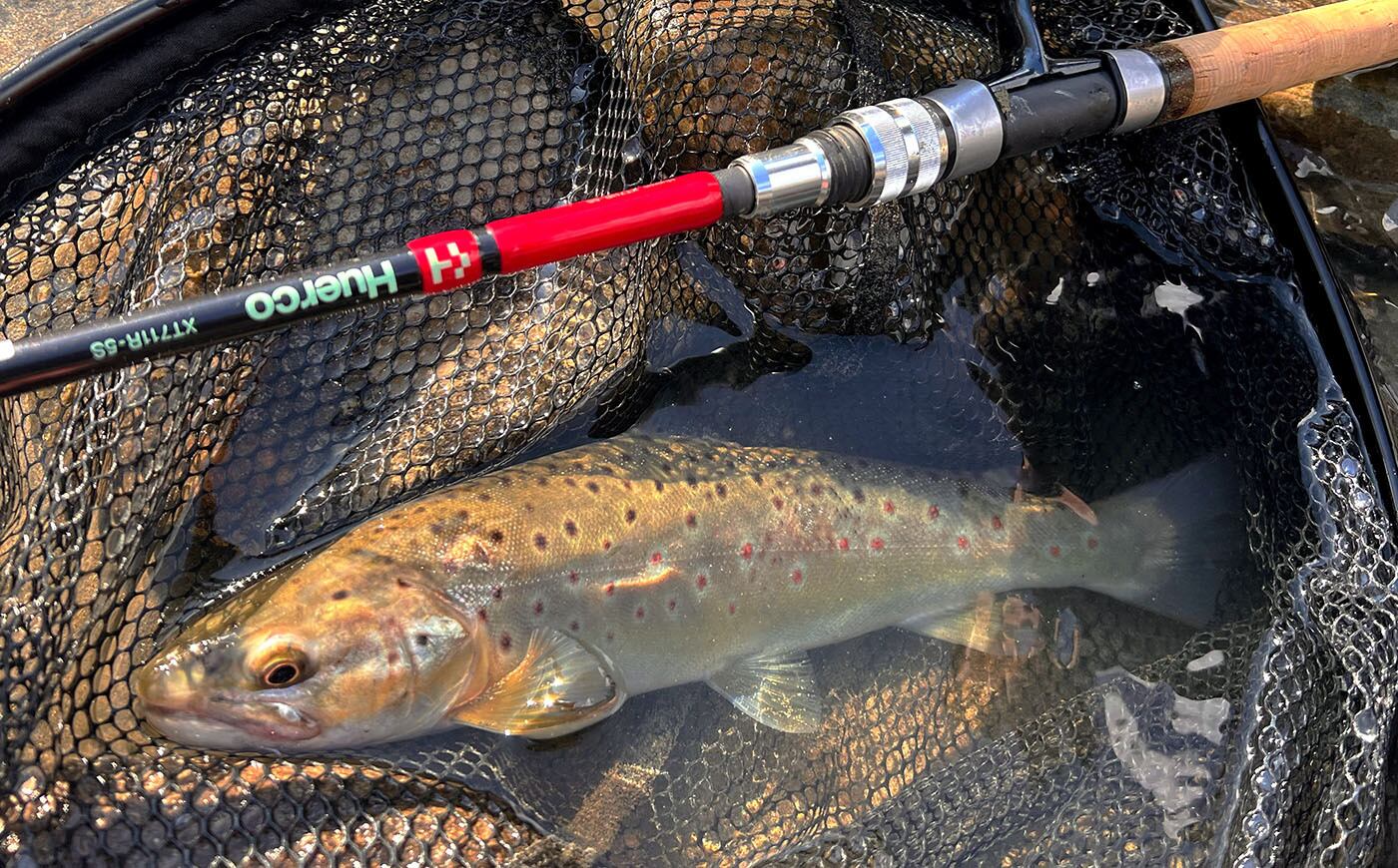 HERACLES バスロッド 楽天市場】EVA 6ft ベイトロッド 2ピース M バスロッド シーバス