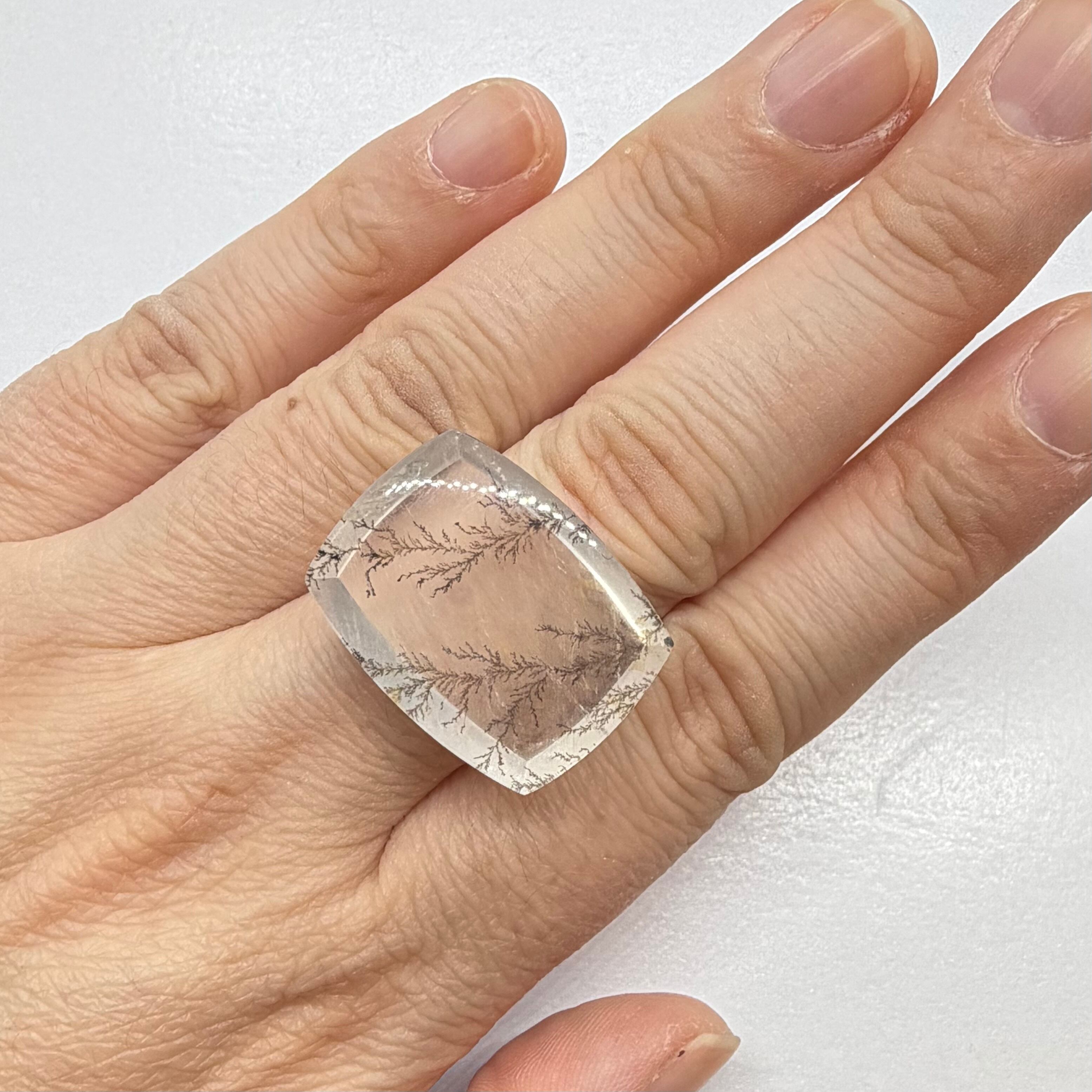 冬景色　デンドリティッククオーツ2