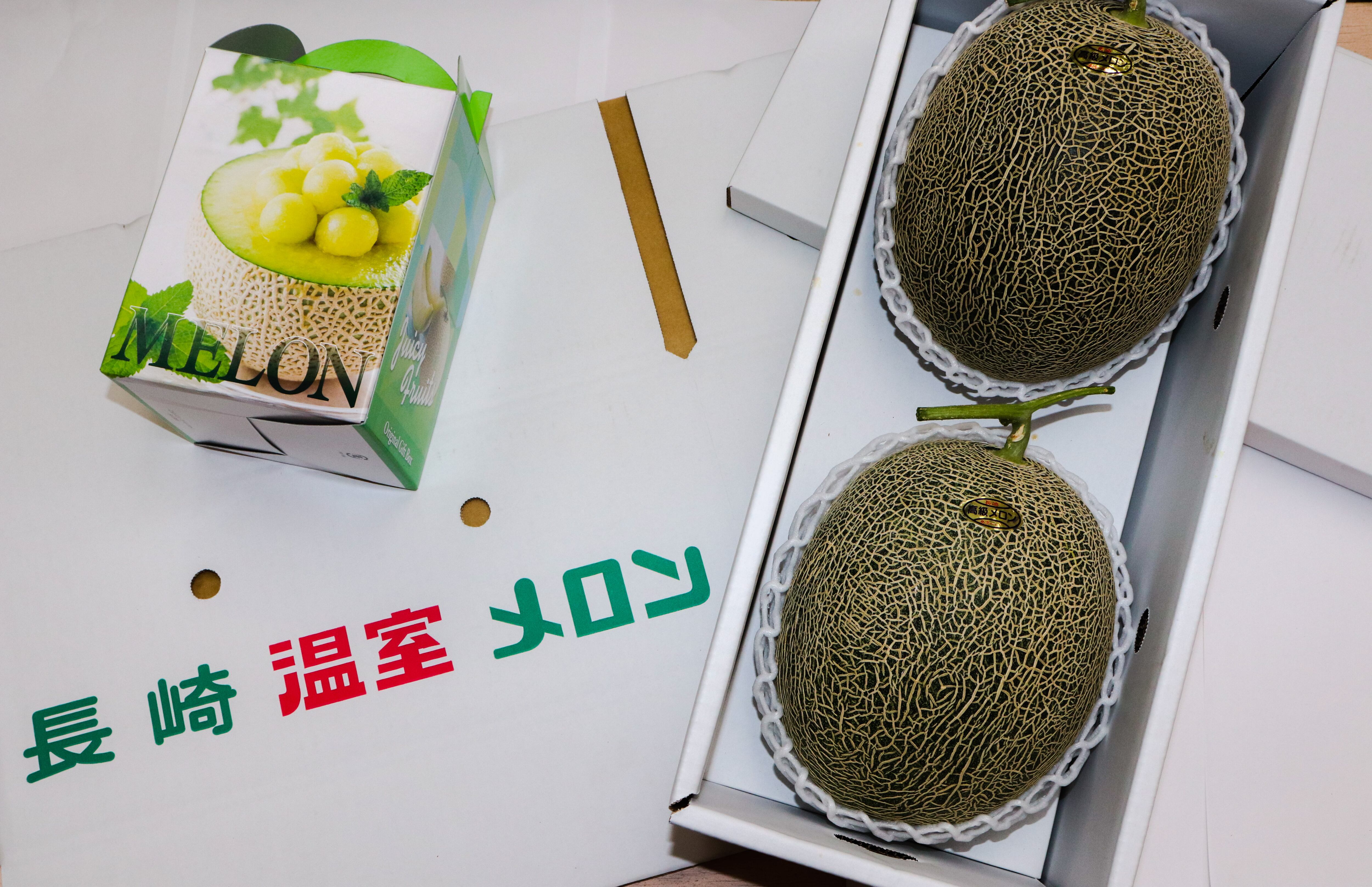 山田農園 琴海横綱メロン【6L】 | Pay ID