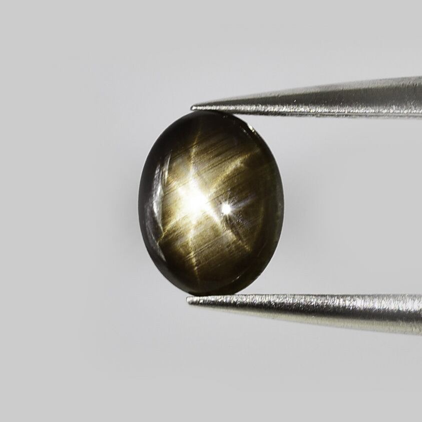 【再値下げ/美品】セルクリスタル +コアボディサポーター Shizuoka Hobby Show 2025 News] Kyosho Turbo Optima Mid Special