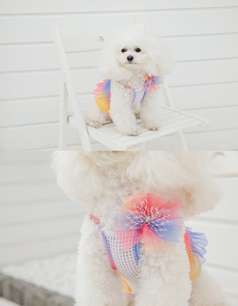 ハロー ヘアピン 2TYPE / ペット アクセサリー 犬 ヘアピン 可愛い 犬の服 ドッグウェア 猫 小型犬 中型犬