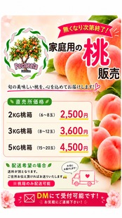 dすけさん専用　桃　はつひめ　小ぶり はつひめ 家庭用 3KG | 福島の桃農家 ﾍﾟｼｪｴﾗ