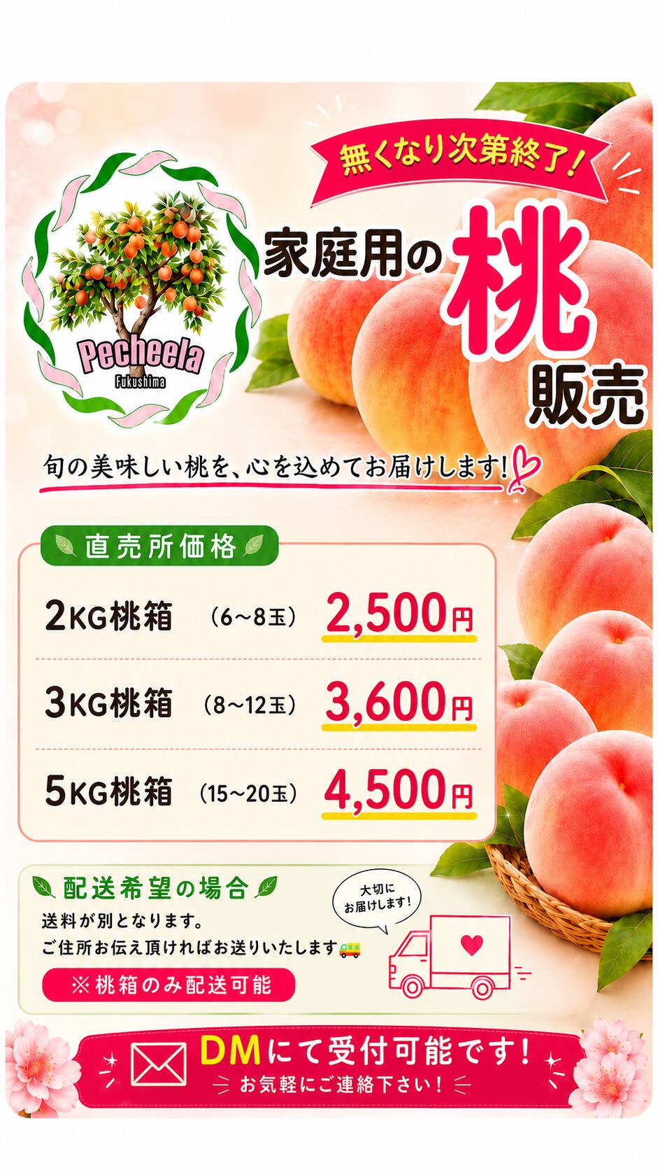 カリカリ桃　福島県産　はつひめ　10KG 食品 カリカリ桃 福島県産 はつひめ 10KG