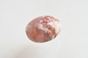 Flower agate palm stone - フラワーアゲート