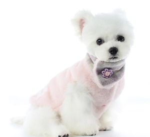 ドッグウェア　マフラー付リバーシブルセットアップ　ピンク　犬服