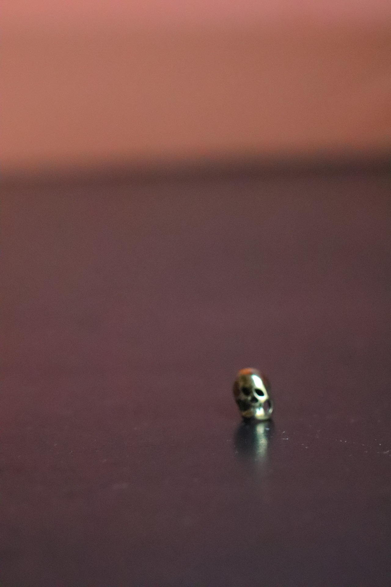 SHAMS push pin "SKULL"