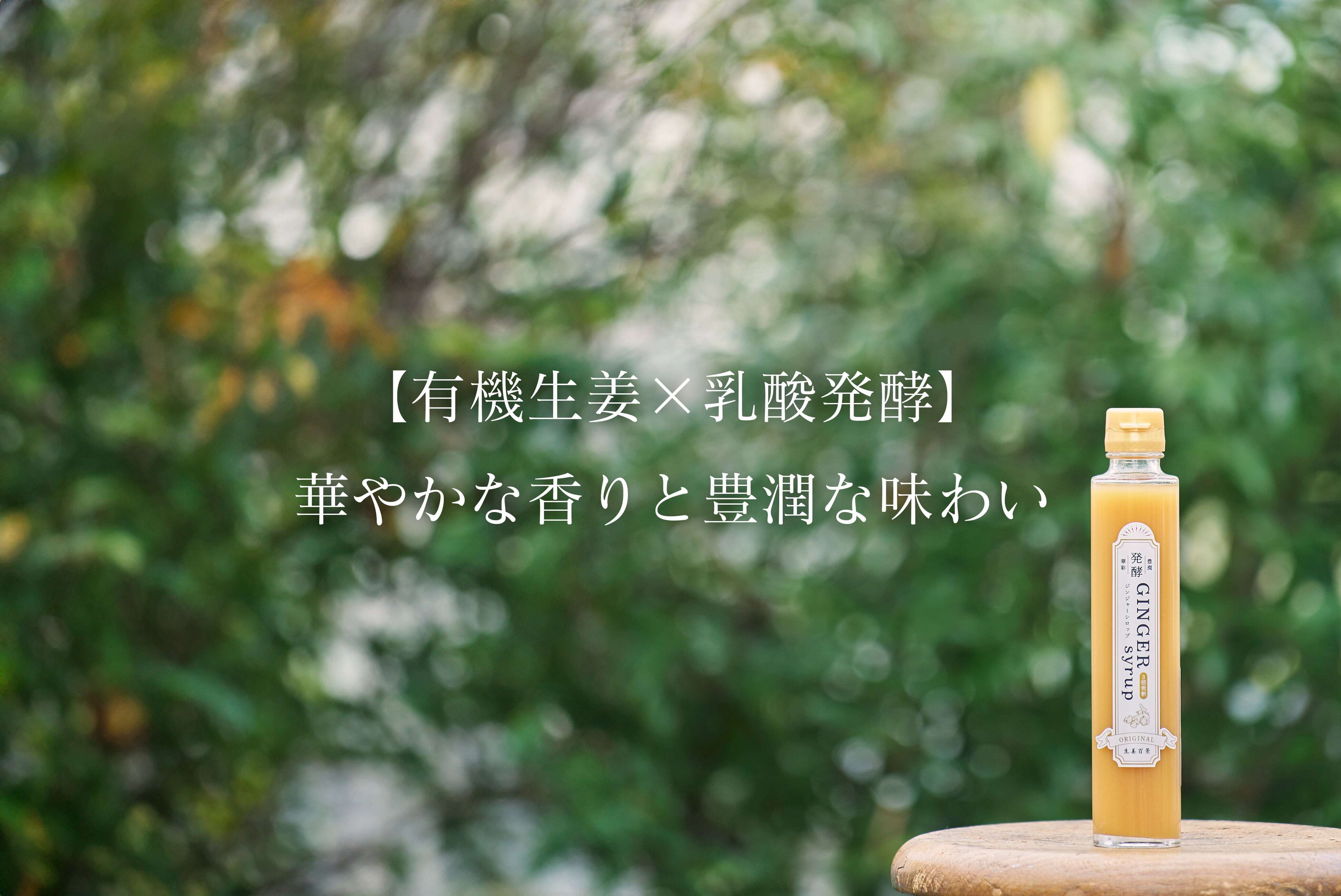 ギフトセット 】発酵ジンジャーシロップ 2本入り | 後藤製菓