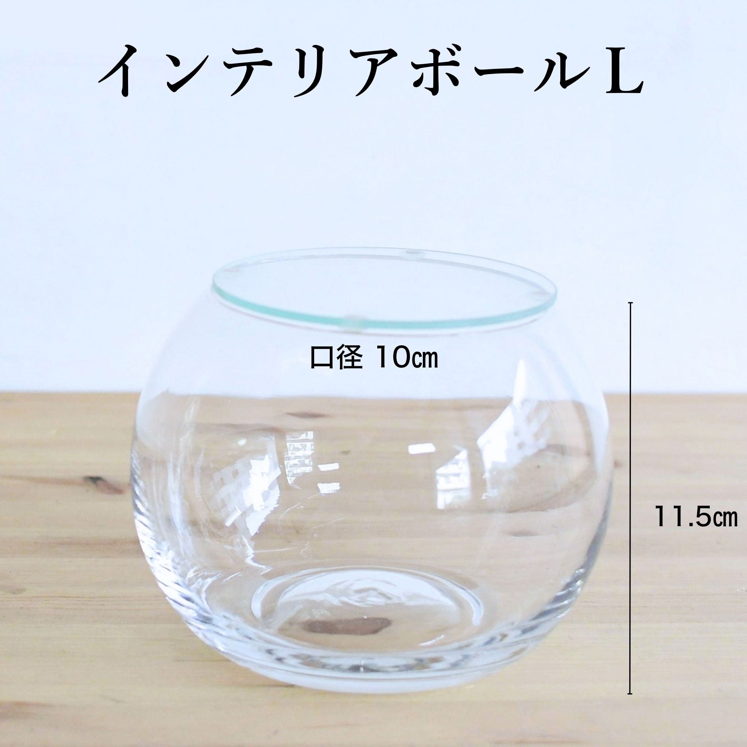 【ガラス容器】インテリアボールL(口径10㎝ × 高さ11.5㎝) ◆適度な通気で丈夫にそだつ