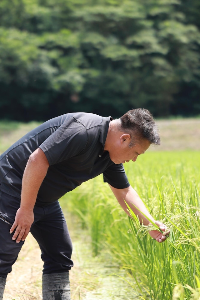 若井農園 滋賀県竜王町産にこまる2kg（玄米）