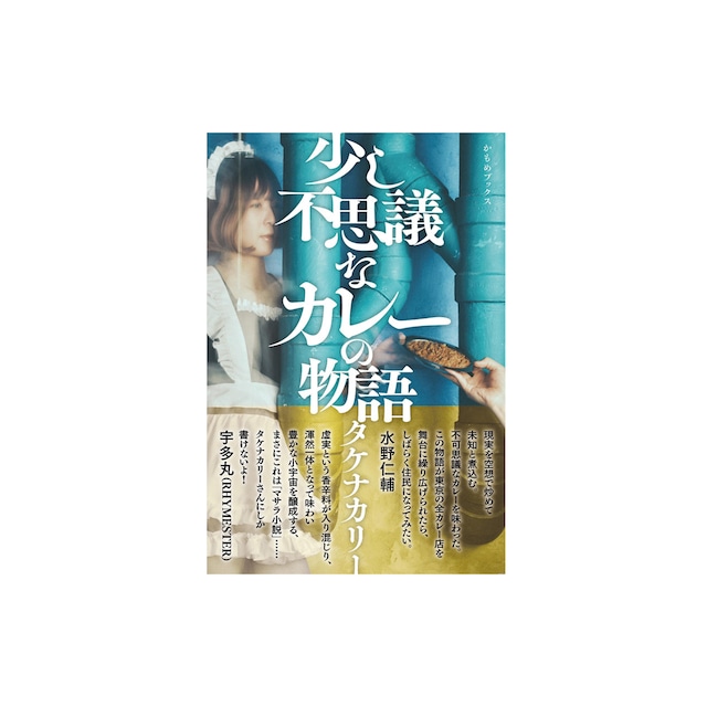 小説「少し不思議なカレーの物語」（1冊小売） - メイン画像