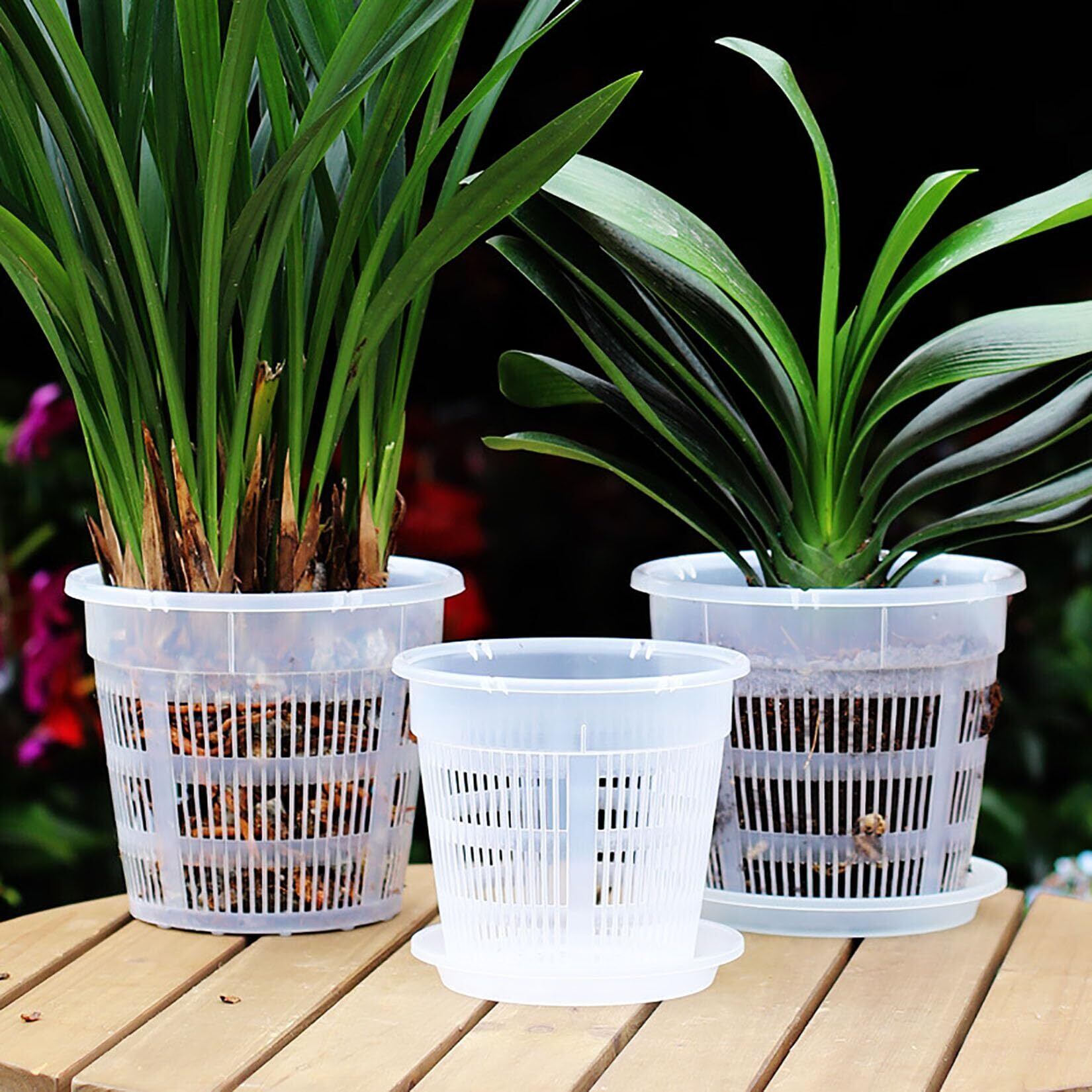 新着商品】Orirya プランター 植木鉢 プラスチック スリット鉢 透明