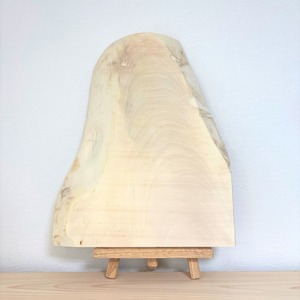 【S様専用】No.1041　トチ