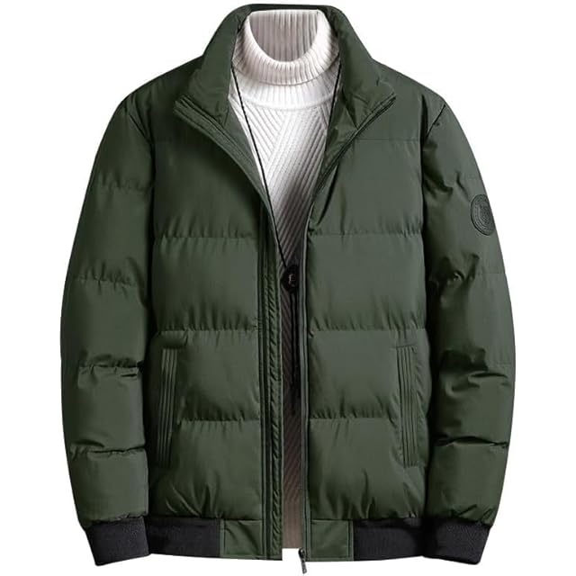 名作 Patagonia ダスパーカー ゲッコーグリーン S パタゴニア DAS