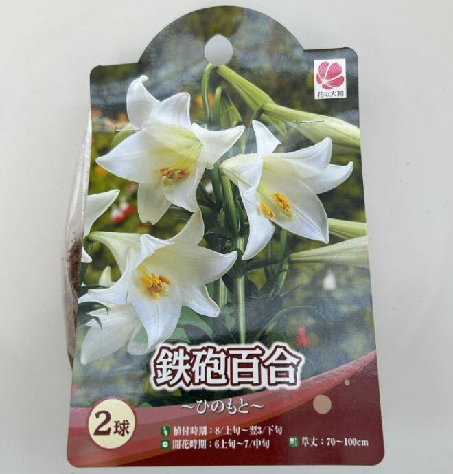 華泉の花 ALL ITEM | フラワーガーデン泉 オンラインショップ