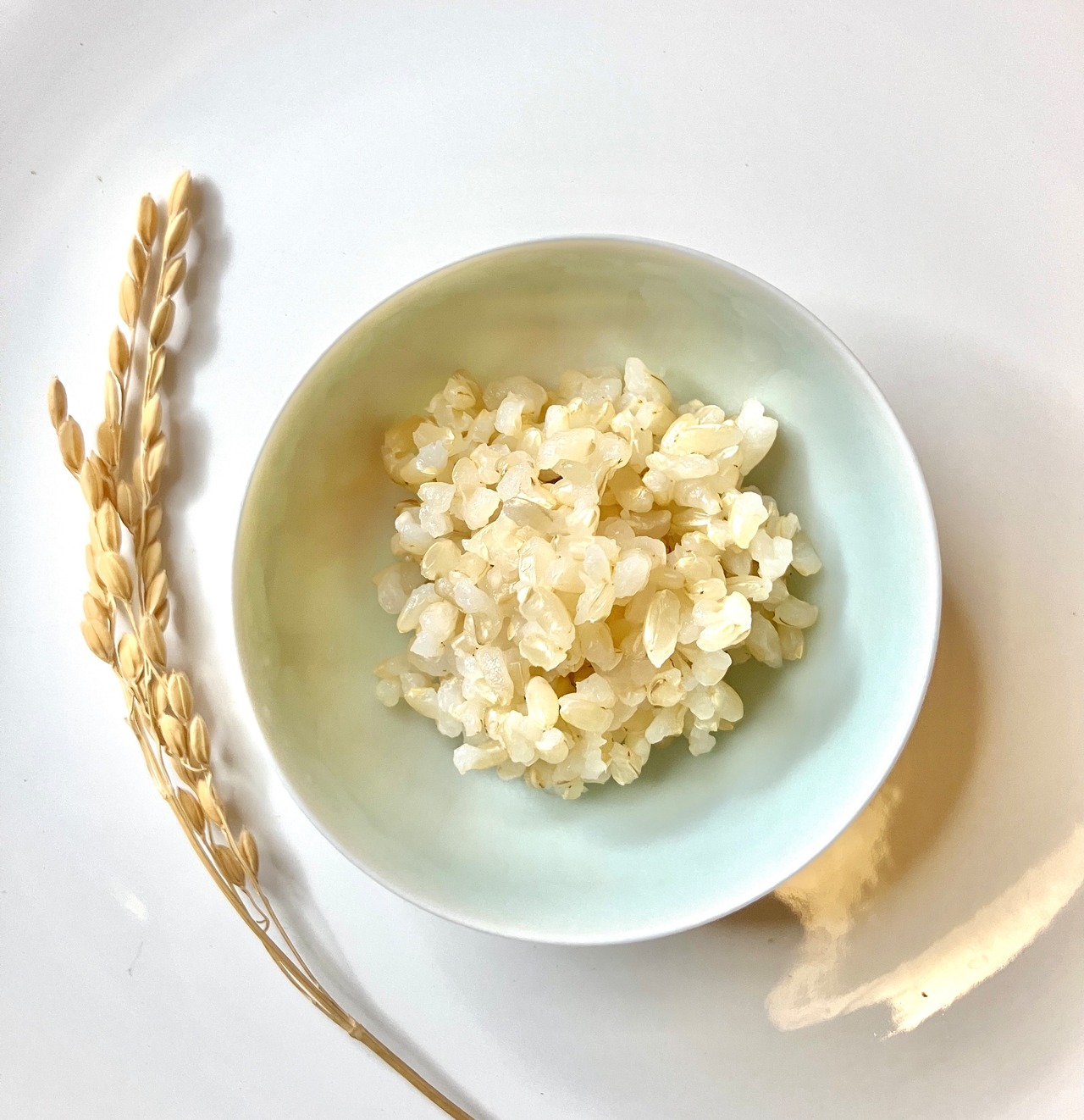【食べ比べ4点セット】 キヌヒカリ / 玄米 白米 2合 × 4袋 / 令和7年【農薬不使用&極限まで抑えたお米】