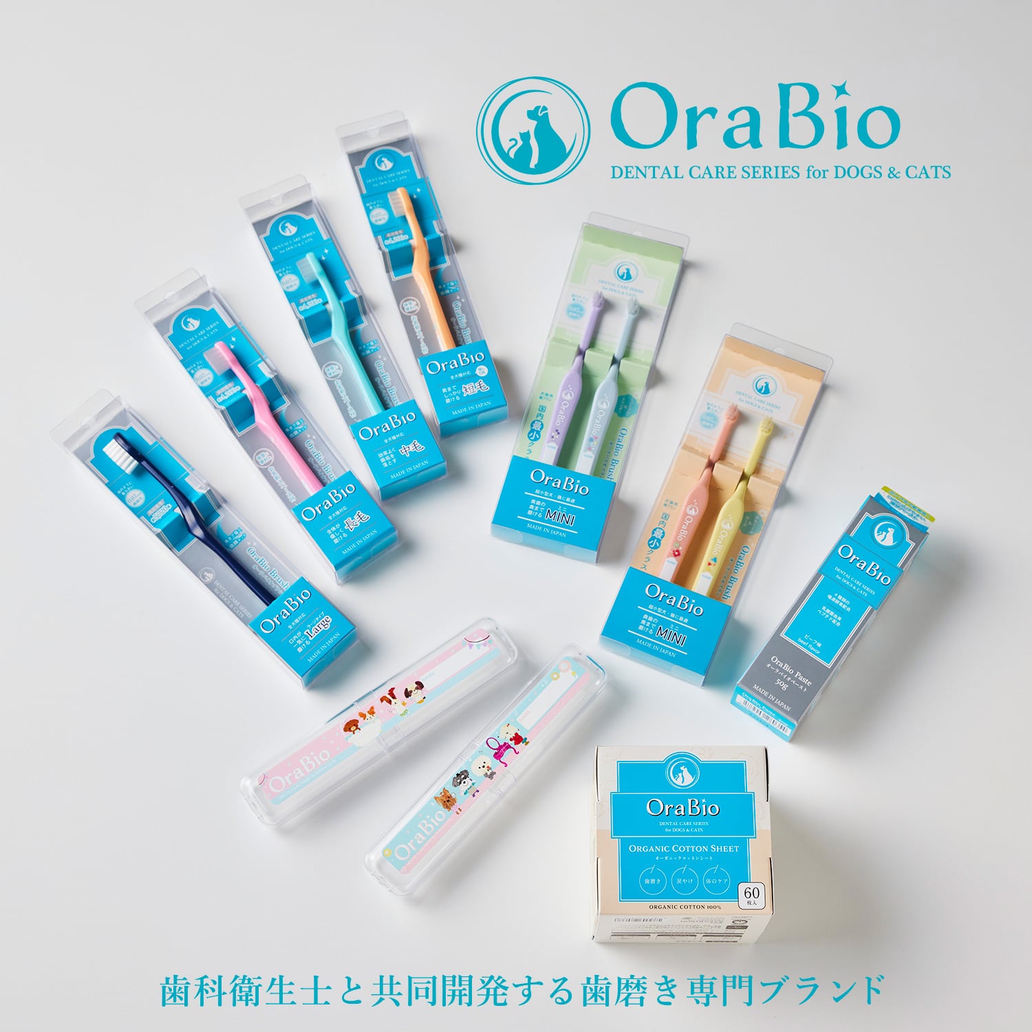 歯学部教科書セット（バラ売りOK） 初めての歯磨きお試し3点セット (他のクーポン併用不可・お一人様1回