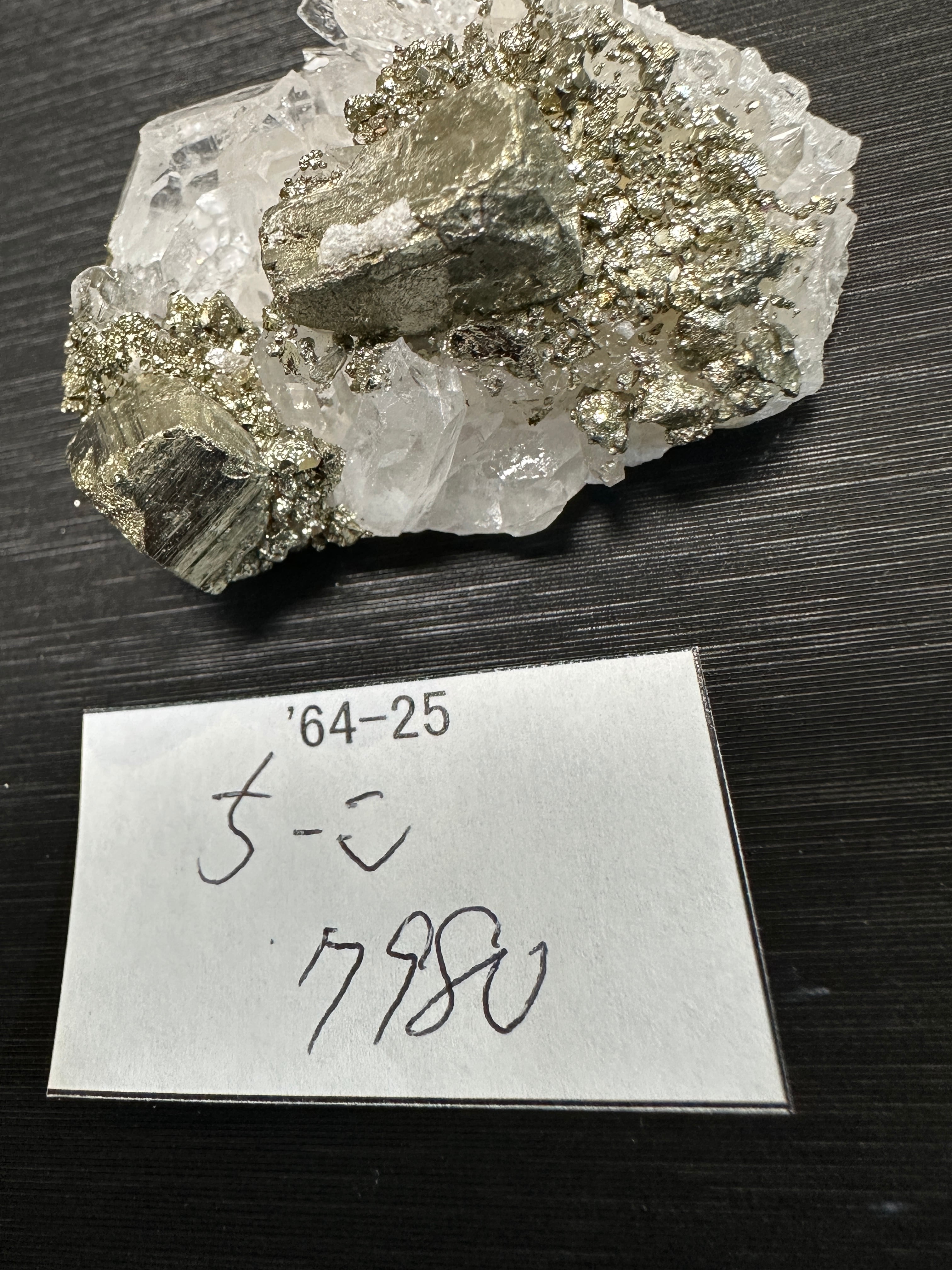 地中海産 天然赤珊瑚（赤さんご,レッドコーラル）原木 N342 赤珊瑚 地中海産 天然赤珊瑚（赤さんご,レッドコーラル）原木 N342