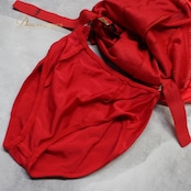 社交ダンス 衣装 ラテン ドレス ワンピース レッスンウェア パーティドレス レディース 赤 Scarlet スカーレット レッド系 レース 長袖 高品質 おしゃれ フェスティバル 体型カバー 存在感 輝く 赤色 デザイン ドレスアップ パーティ 着心地 抜群 試着 結婚式 特別な日 楽しい ダンス フィット 縫製 伸縮性 お祝い