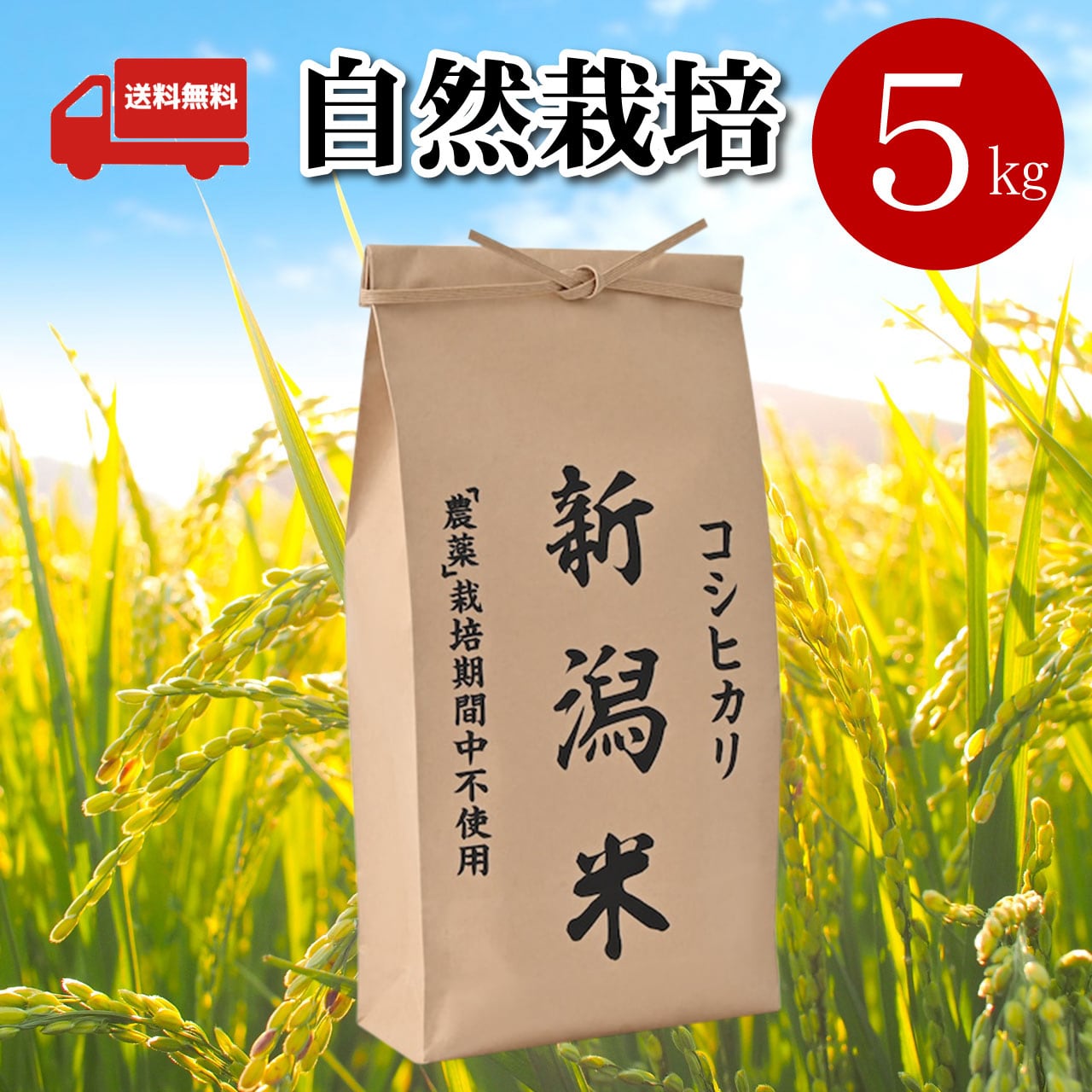 けんちゃんの津軽の健康「黒豆」約4キロ 　粒大小ミックス令和5年産。完全無農薬。