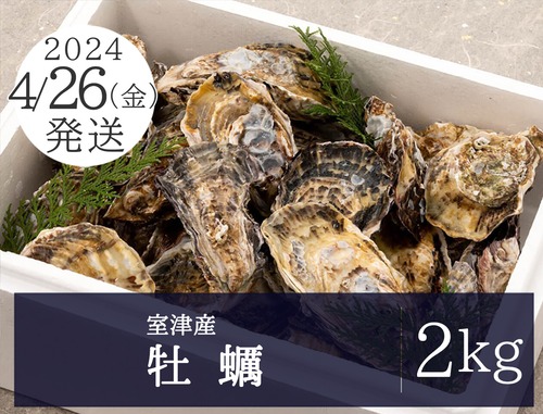 4月26日（金）発送【室津産】牡蠣 2kg