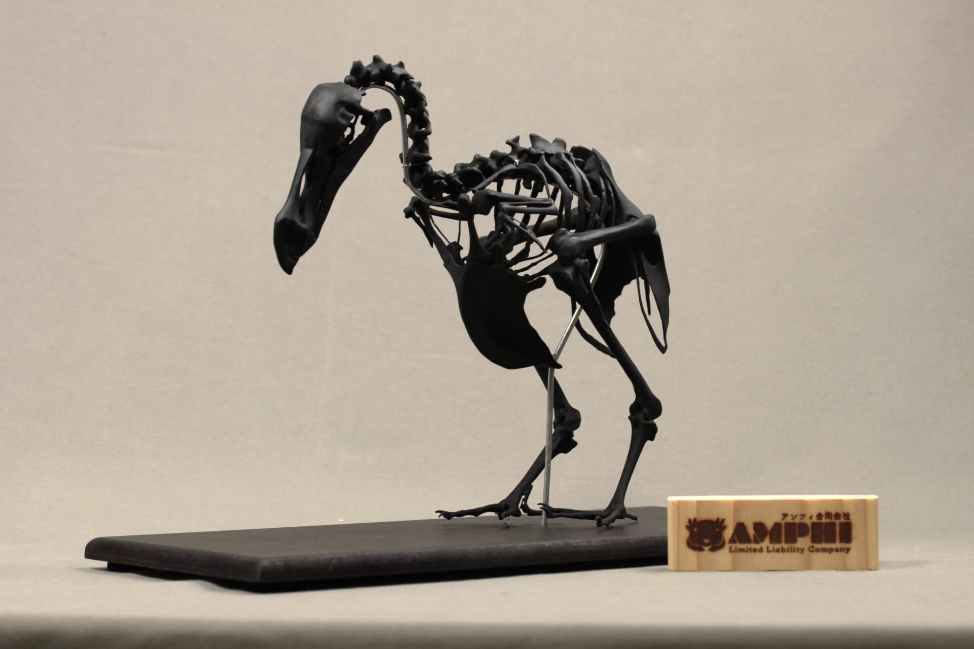 高さ21cm】モーリシャスドードー の縮小全身骨格レプリカ【Dodo