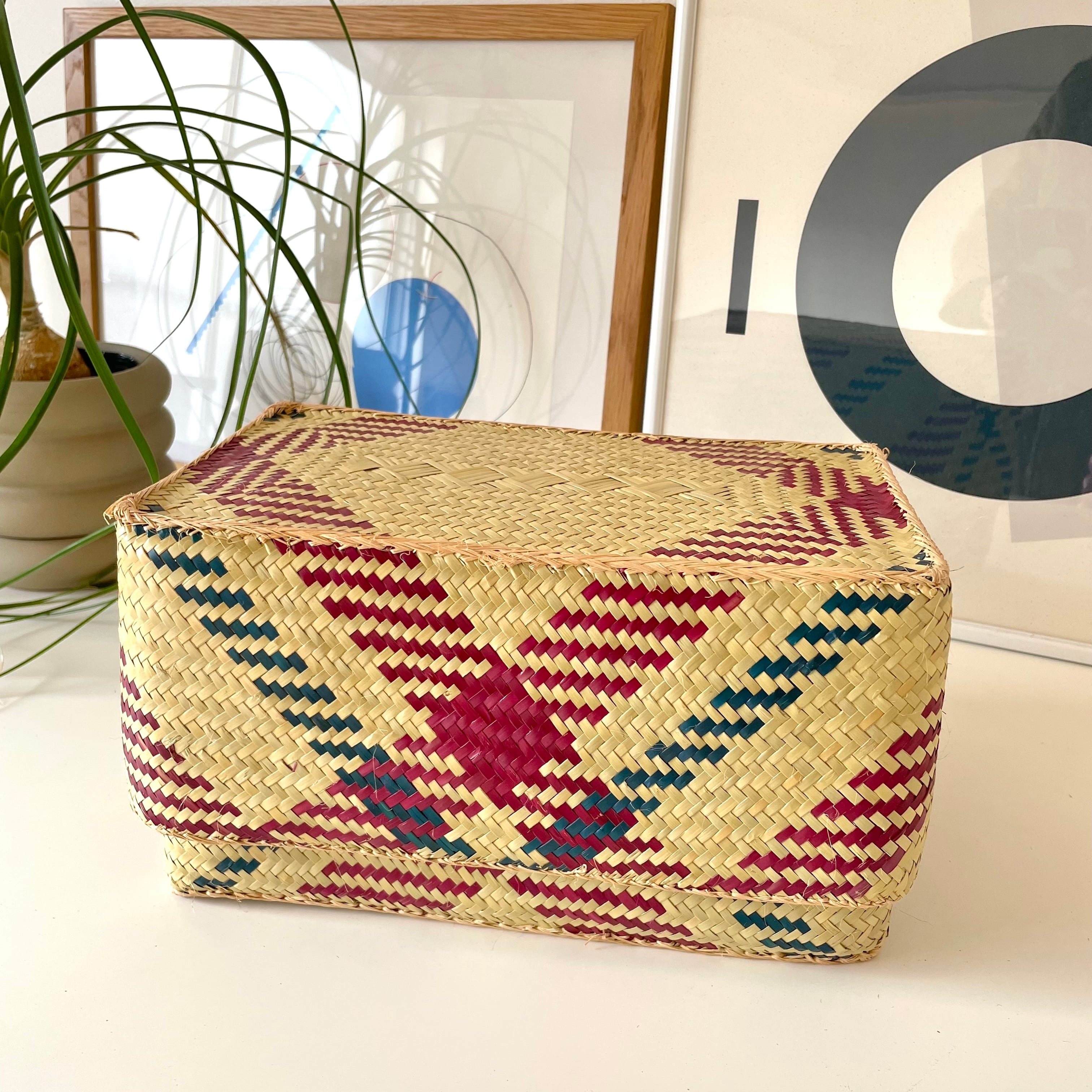 Rectangular colourful basket M w27cm×15cm×h15cm四角カラフル蓋付き