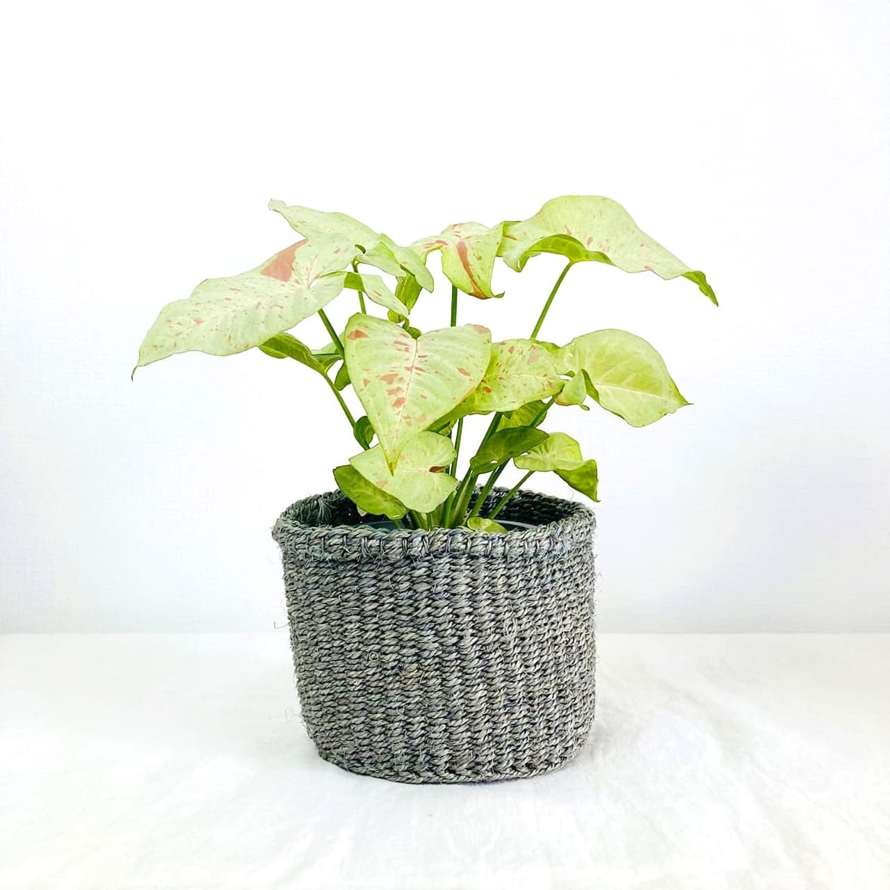 サイザルバスケット ミニ グレー