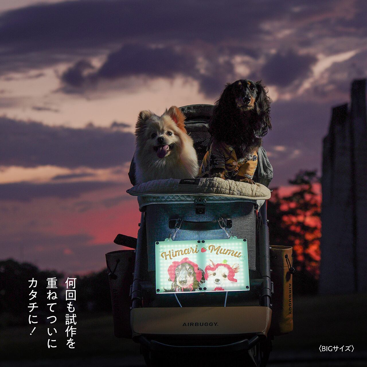 ☆光る】カート ネームプレート〈ヴィンテージ〉 | ひまわんギャラリー