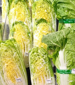 限定鍋セット～白菜・里芋・キノコと長ネギをメインに