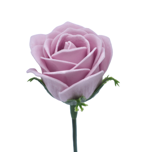 ジャナバラMJ-PR1 ライラック ベビーピンク 25輪入り