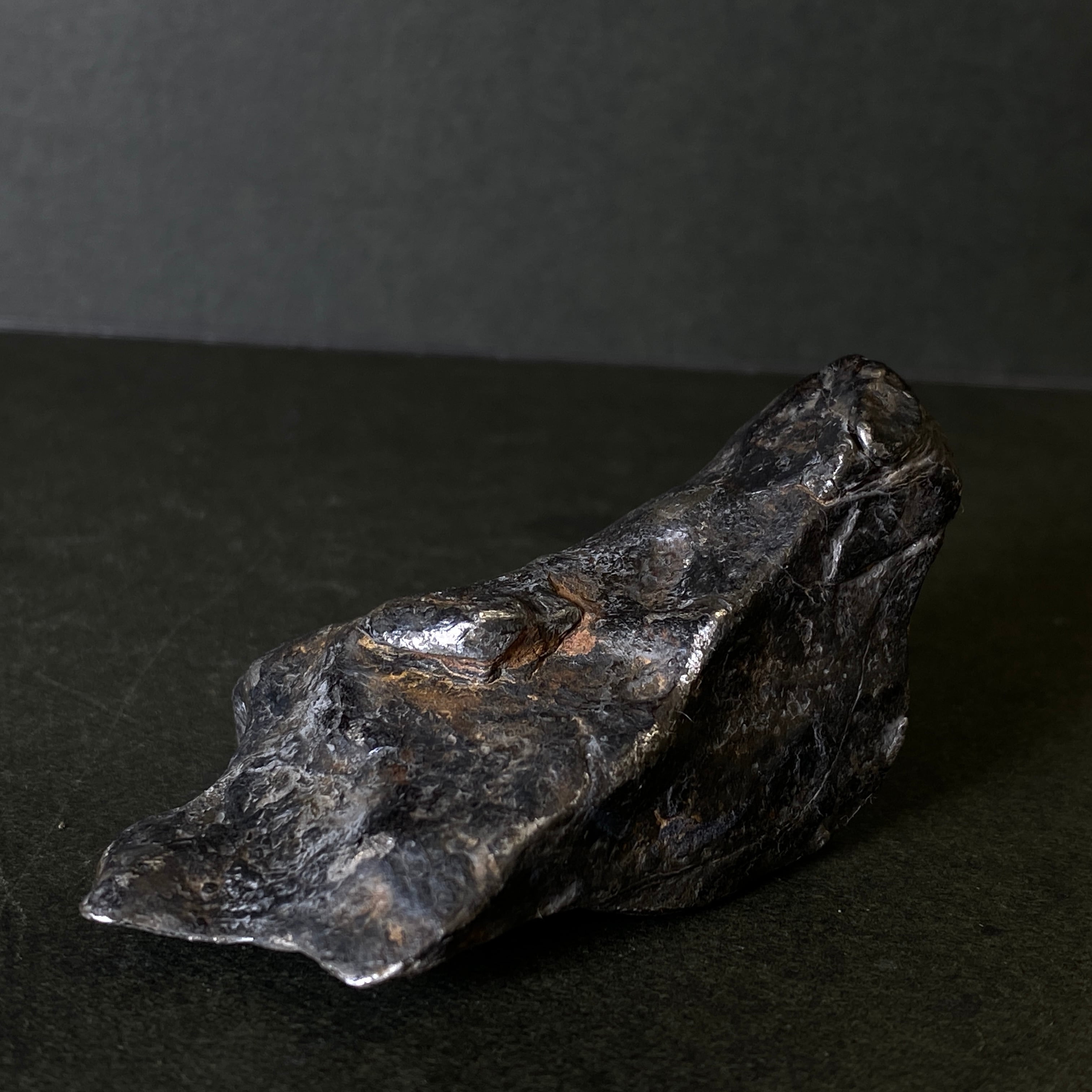 大型】ギベオン隕石 Gibeon Meteorite 25103103 | 【隕石屋】METEOS