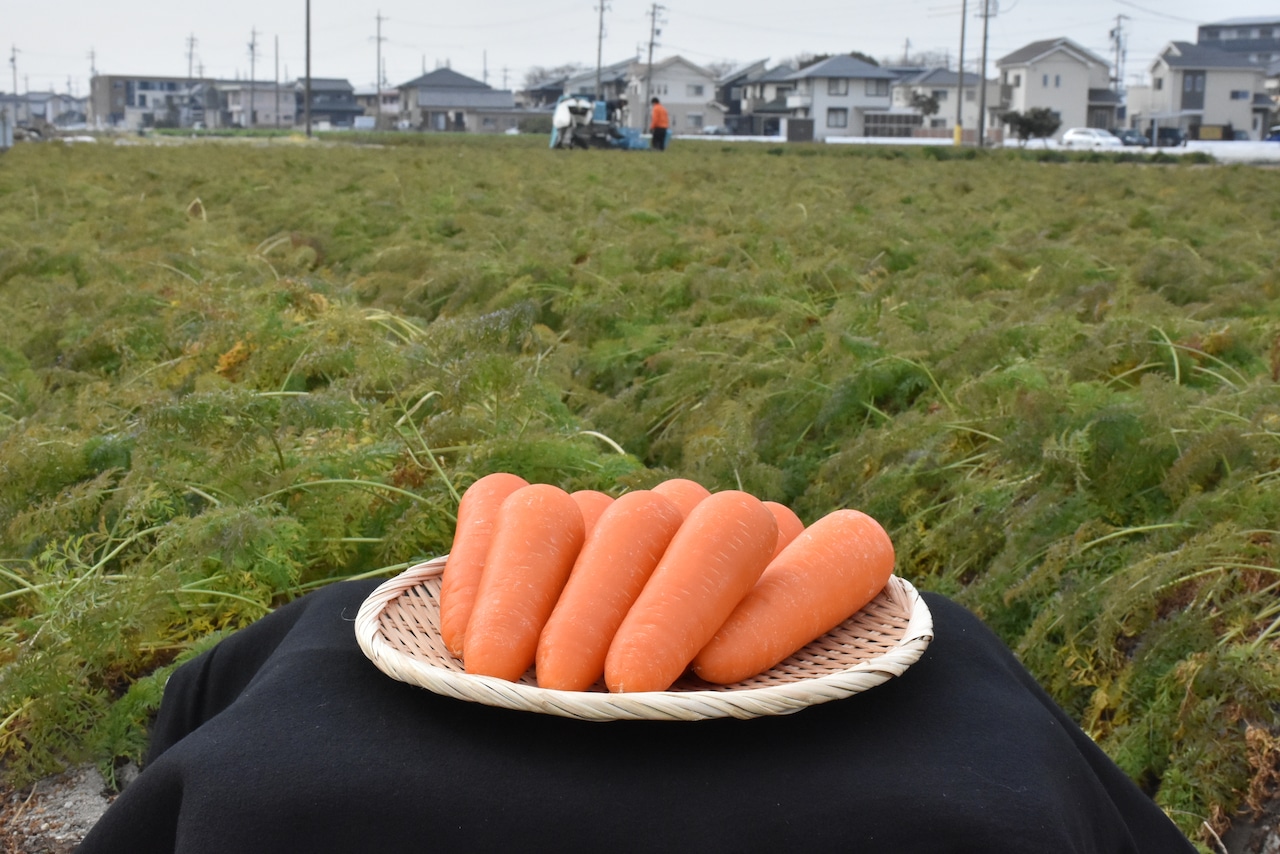 JAあいち中央碧南人参部会｢加工用へきなん美人10kg｣※北海道馬