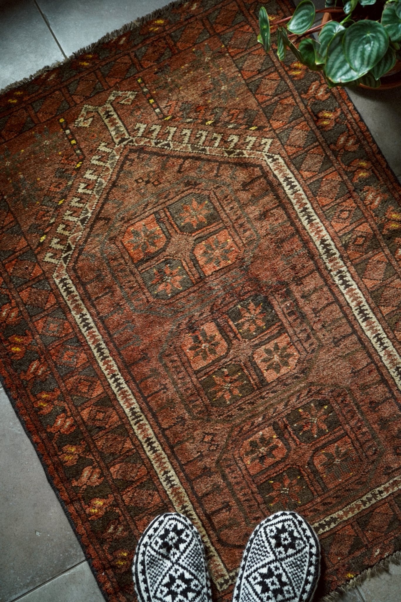 2268 - Semi Antique Turkmen rug | 手織りのヴィンテージラグ専門店