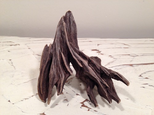 Drift wood DW010