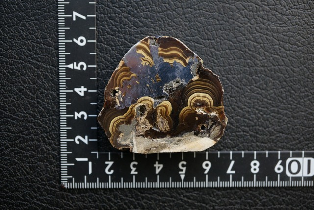 ポーランド産シャーレンブレンド Schalenblende 1886