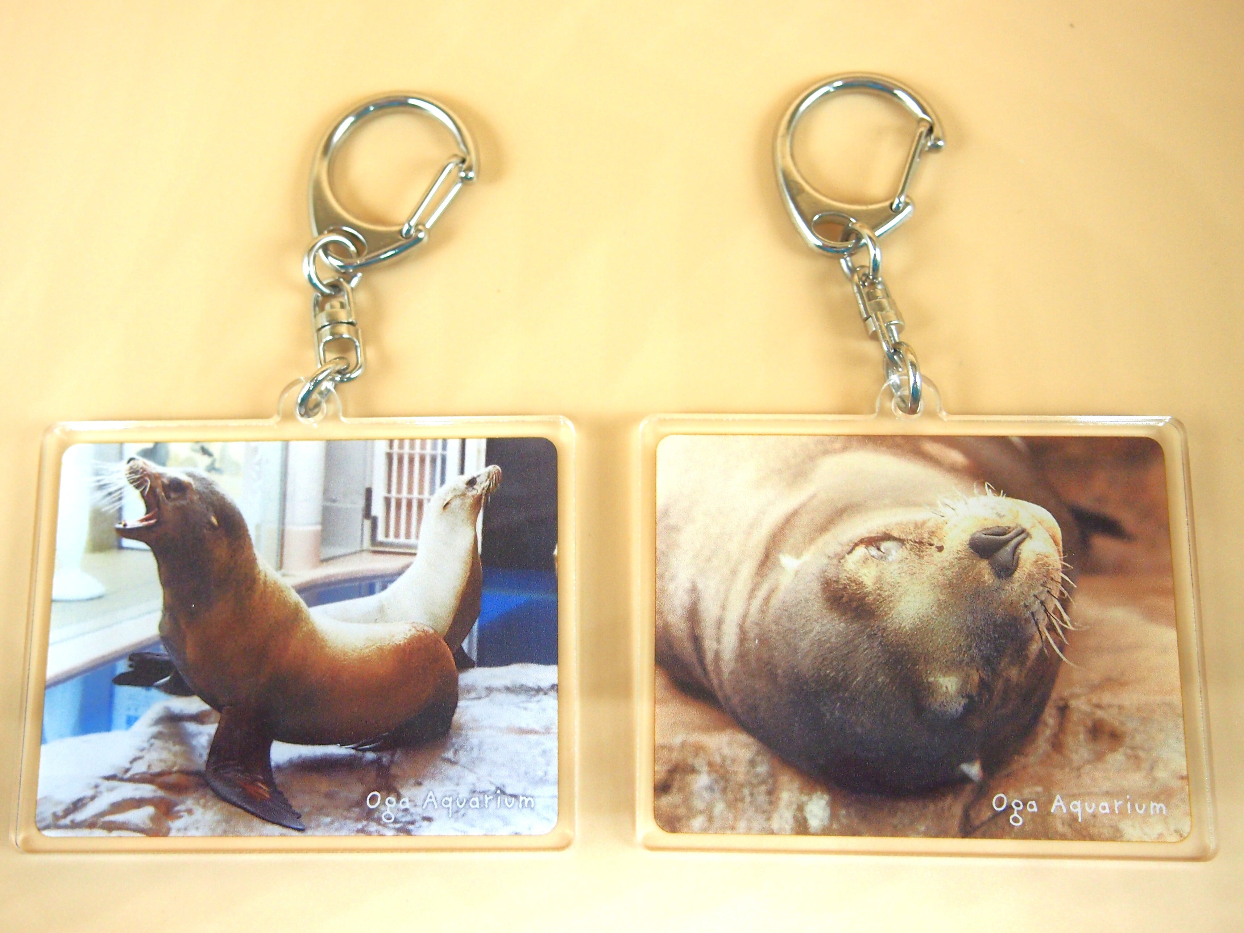 アクリルキーホルダー アシカ | 男鹿水族館GAO Online Shop